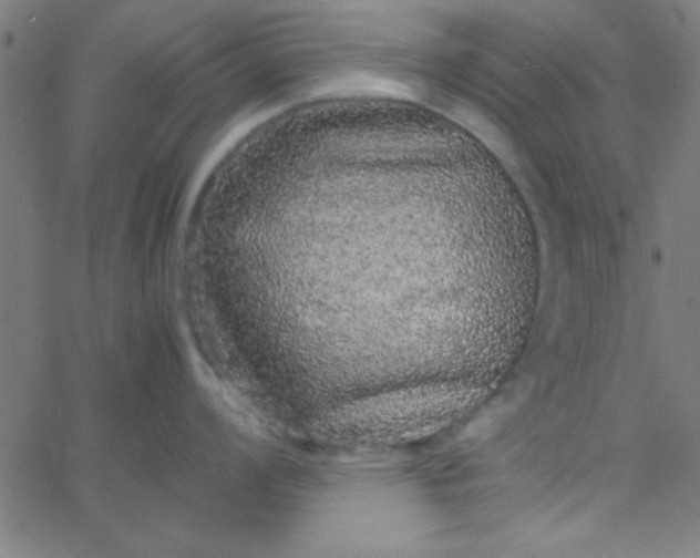 X0000067911008200604271913