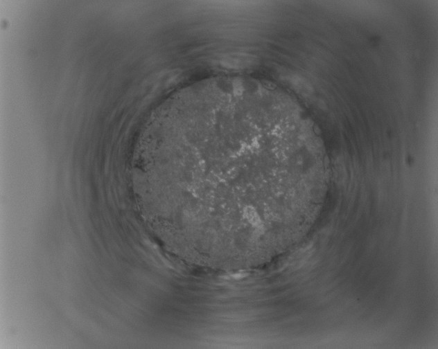 X0000067911009200604271912