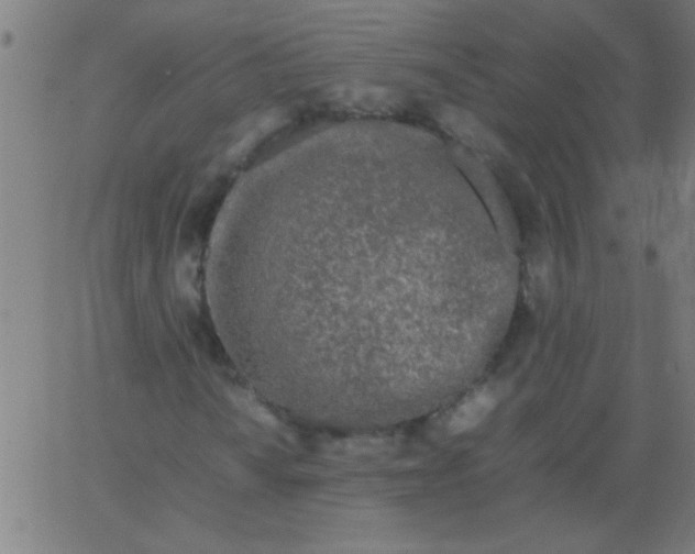 X0000067911010200604271912