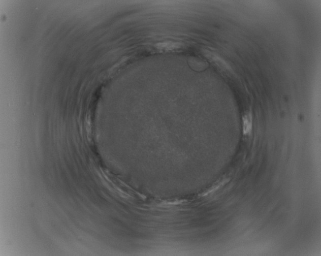 X0000067911011200604271912