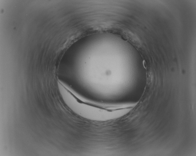 X0000067911012200604271912