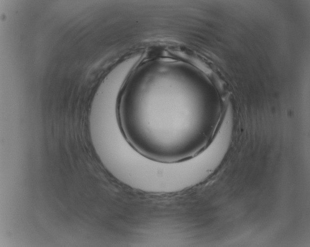 X0000067911014200604271912