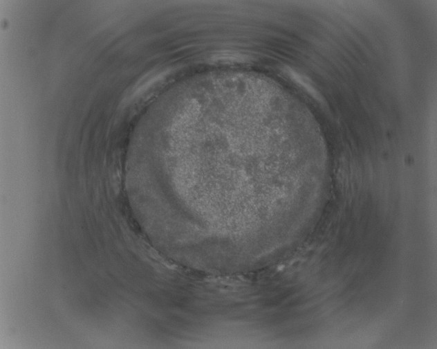 X0000067911015200604271912