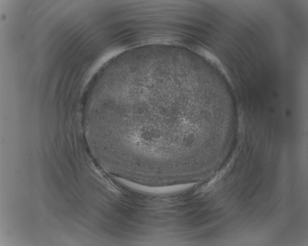 X0000067911019200604271912