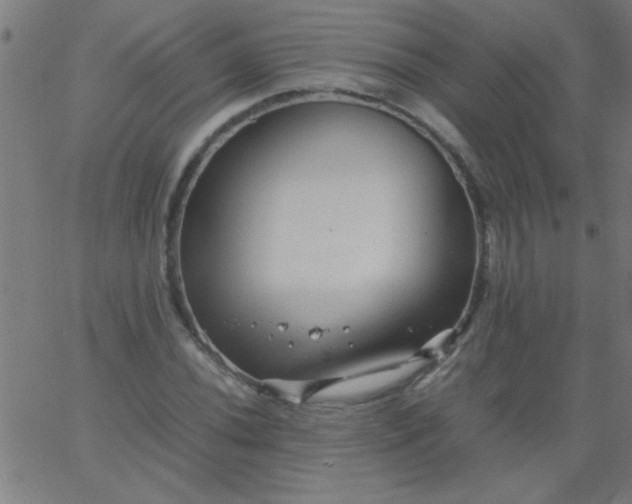 X0000067911020200604271912