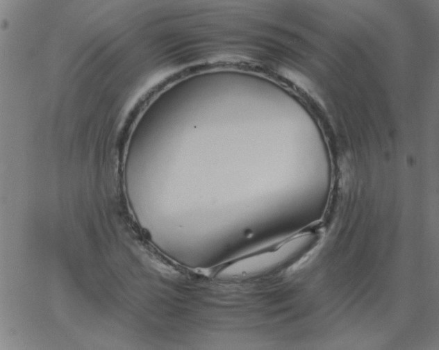 X0000067911021200604271912