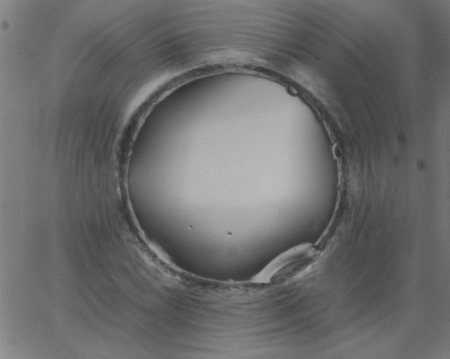 X0000067911022200604271912