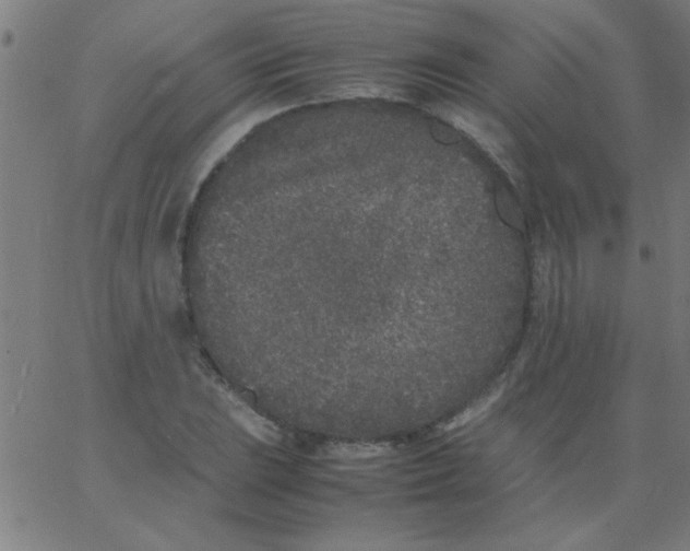 X0000067911023200604271912