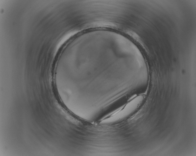 X0000067911024200604271912