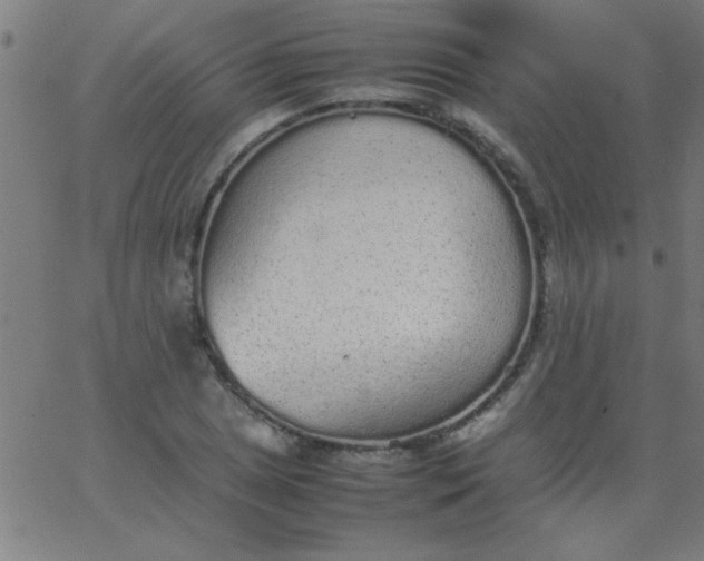 X0000067911025200604271912