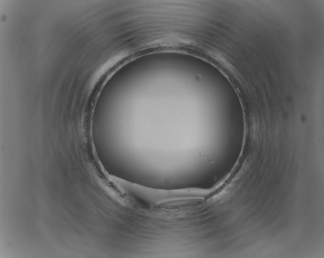 X0000067911026200604271912