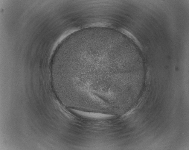 X0000067911027200604271912