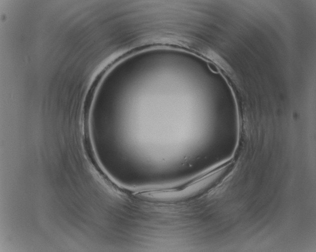 X0000067911028200604271912