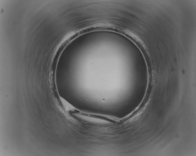 X0000067911029200604271912