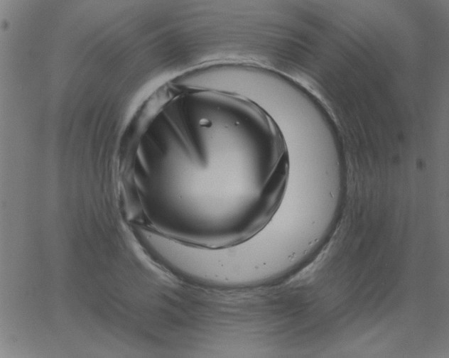 X0000067911030200604271912