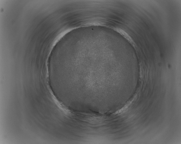 X0000067911031200604271912