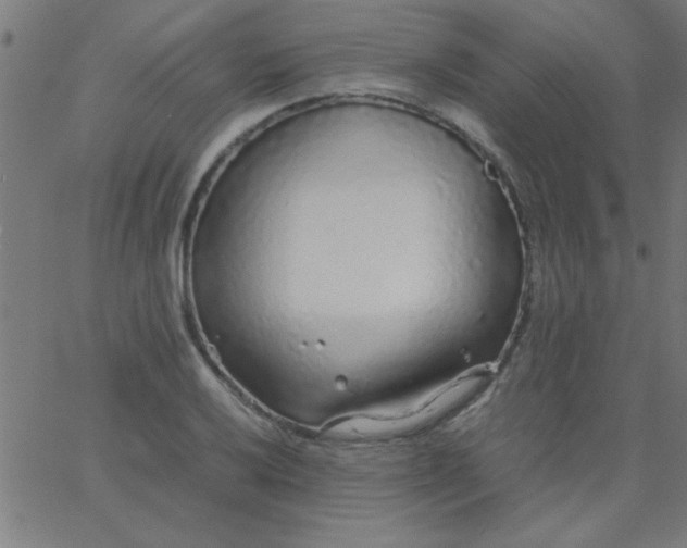 X0000067911032200604271912