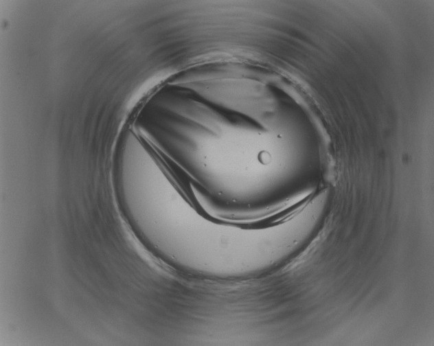 X0000067911034200604271912