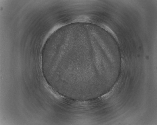 X0000067911035200604271912