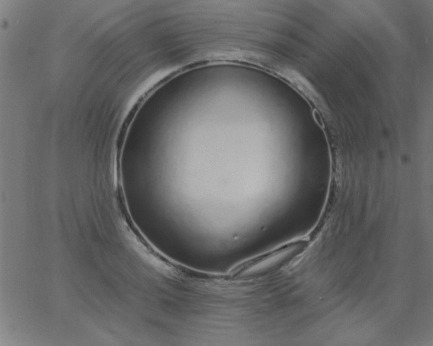 X0000067911036200604271912