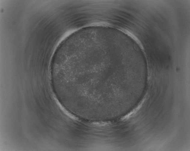 X0000067911037200604271912