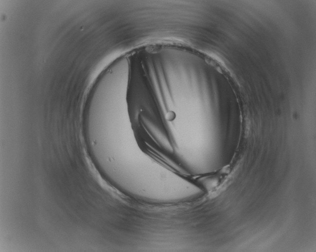 X0000067911038200604271912