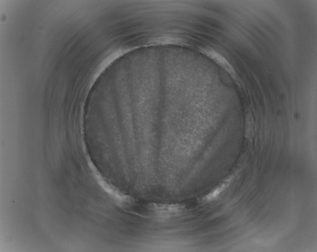 X0000067911039200604271912