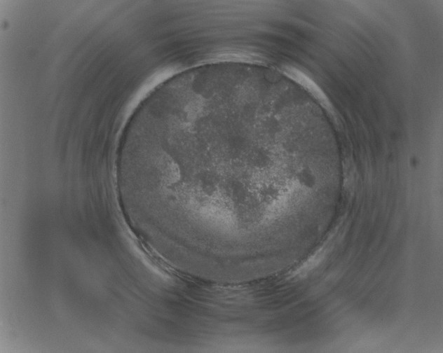 X0000067911043200604271913