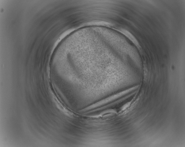 X0000067911044200604271913