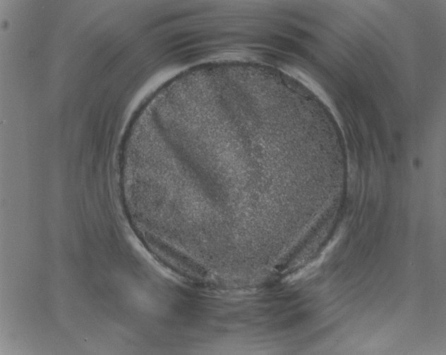 X0000067911045200604271913