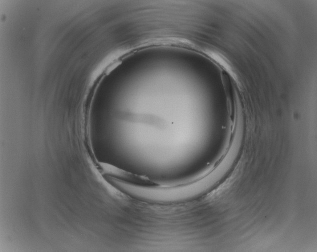 X0000067911046200604271913