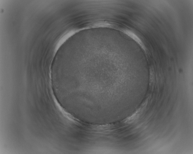 X0000067911047200604271913