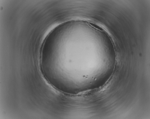 X0000067911048200604271913