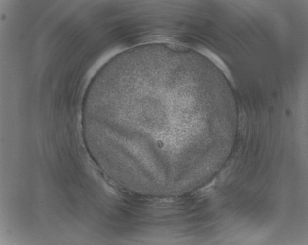 X0000067911051200604271913