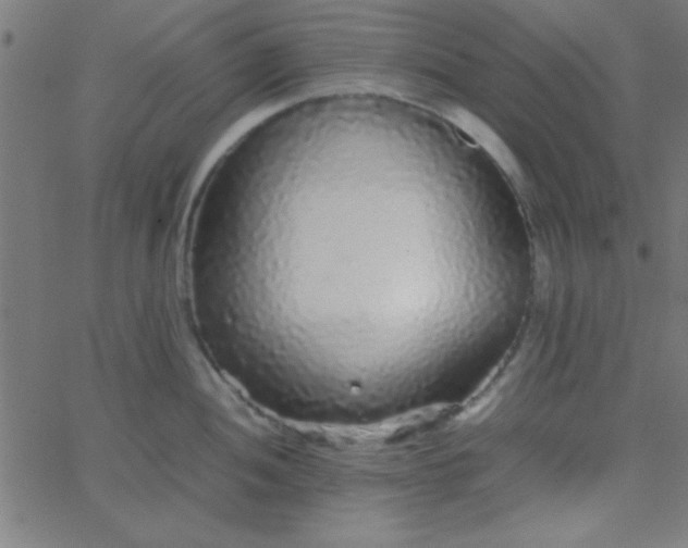 X0000067911052200604271913