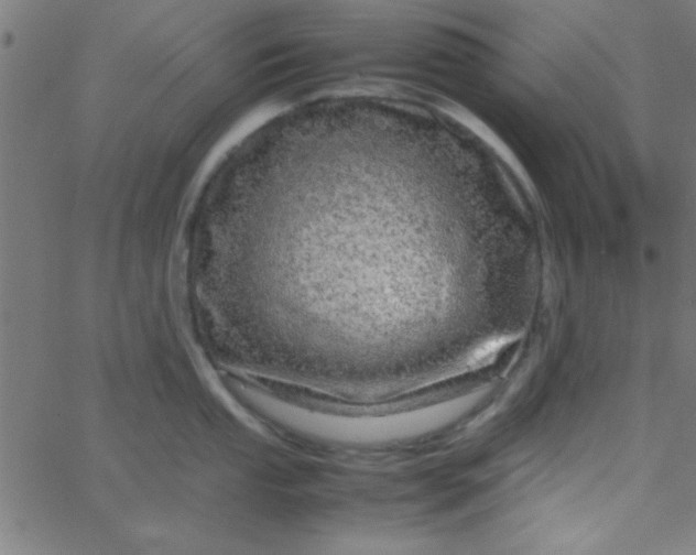 X0000067911053200604271913