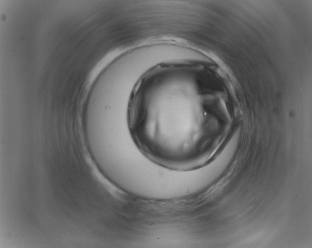 X0000067911054200604271913