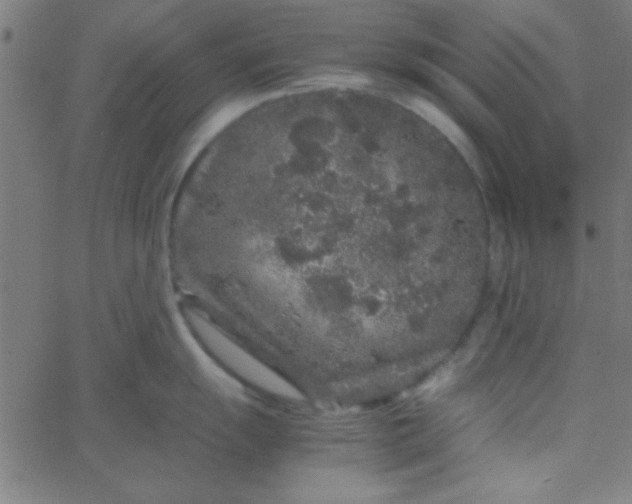 X0000067911055200604271913