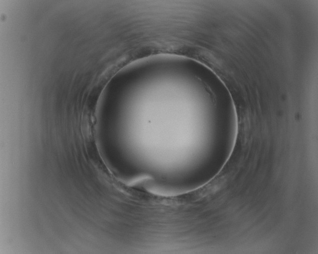 X0000067911058200604271912