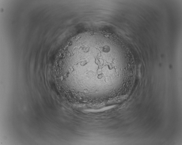 X0000067911059200604271912