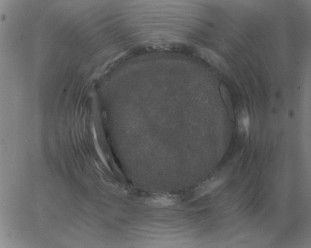 X0000067911060200604271912