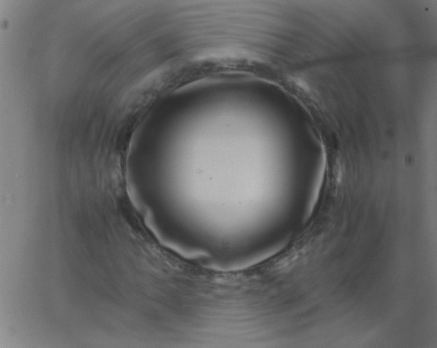 X0000067911062200604271912