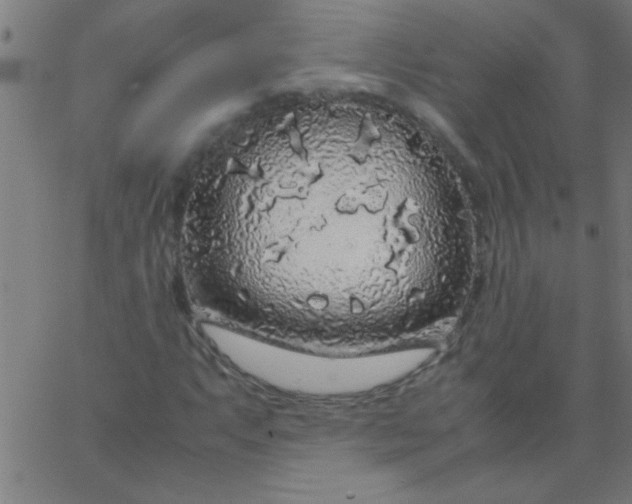 X0000067911063200604271912