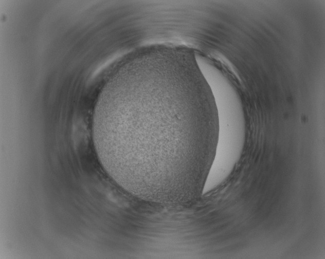 X0000067911064200604271912