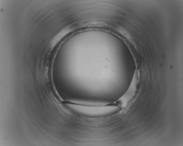 X0000067911066200604271912