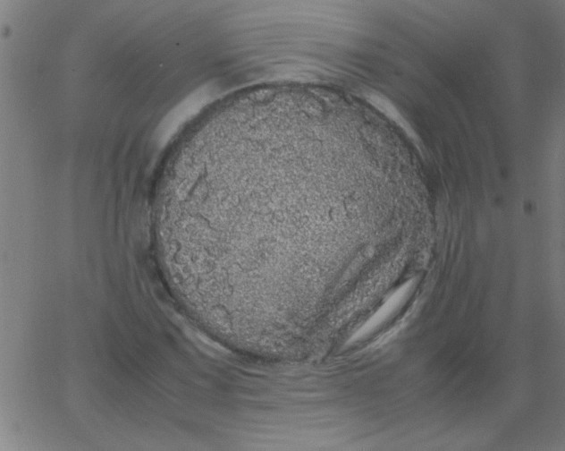 X0000067911067200604271912