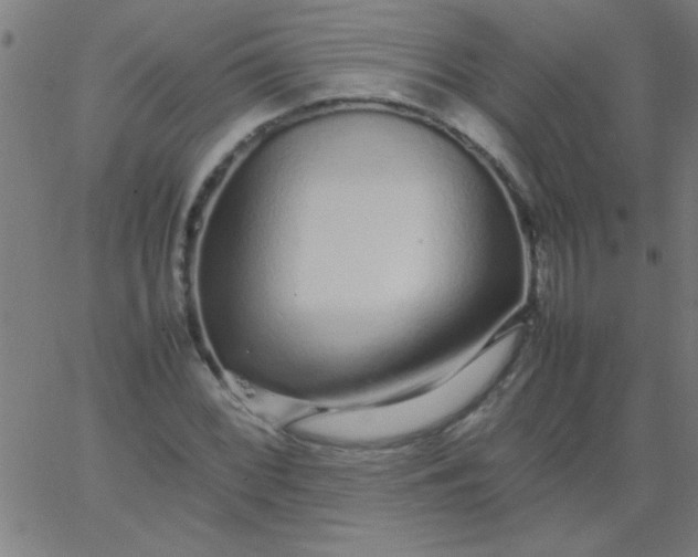 X0000067911068200604271912