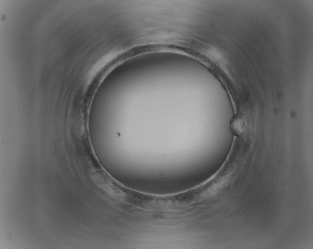 X0000067911069200604271912