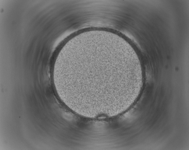 X0000067911070200604271912