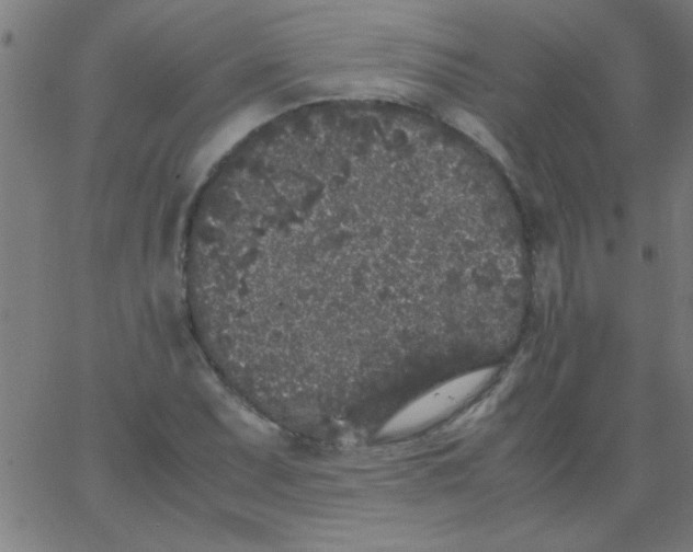 X0000067911071200604271912